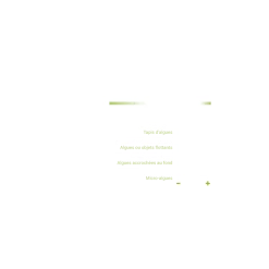 MINI FOCUS WEED SLOTT OU MTT -Pédales vélo Soldes Magasin mini focus weed slott ou mtt 1 2
